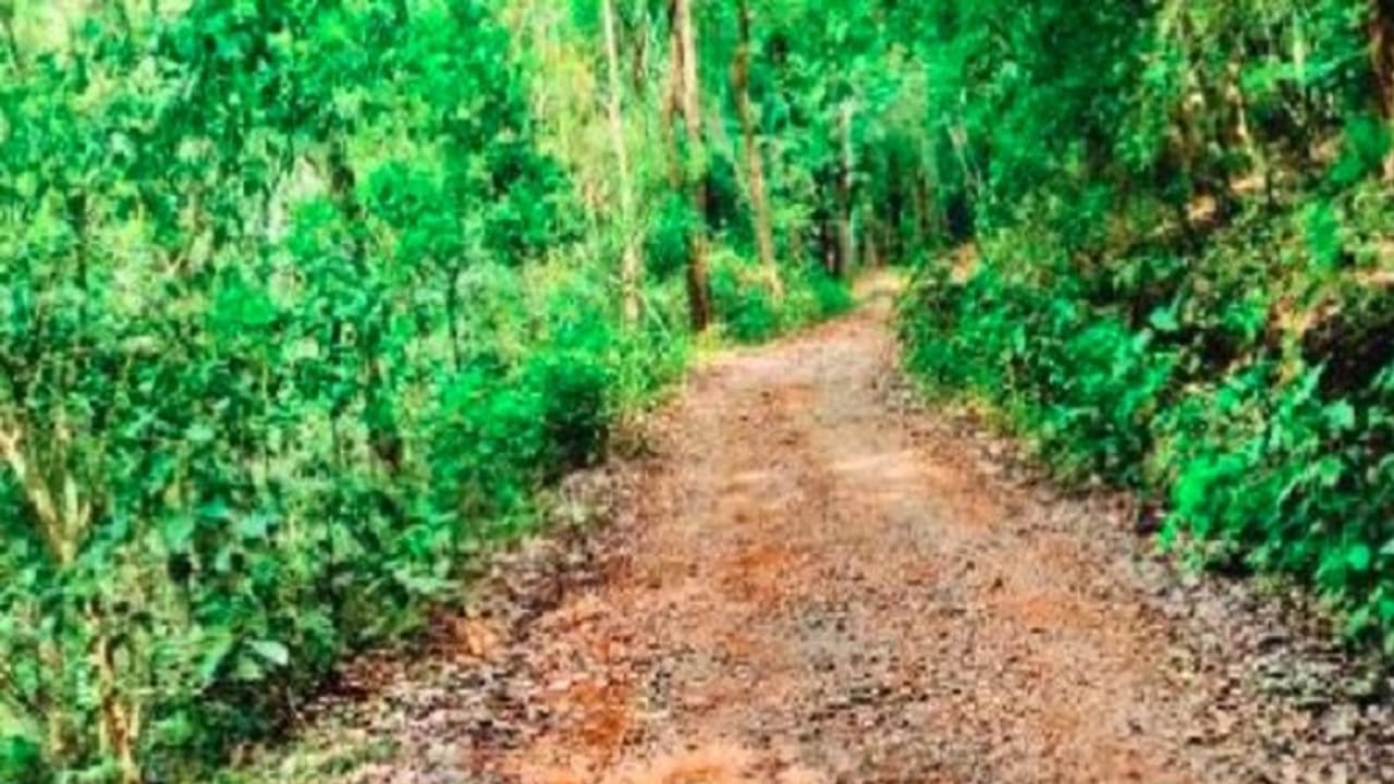 ಕಾರ್ಕಳ: ನಕ್ಸಲ್ ಪೀಡಿತ ಈದು ಗ್ರಾಮದಲ್ಲಿ 'ಇಲ್ಲ' ಗಳ ನಡುವೆ ಬದುಕು! ಕಾರ್ಕಳ: ನಕ್ಸಲ್ ಪೀಡಿತ ಈದು ಗ್ರಾಮದಲ್ಲಿ 'ಇಲ್ಲ' ಗಳ ನಡುವೆ ಬದುಕು!