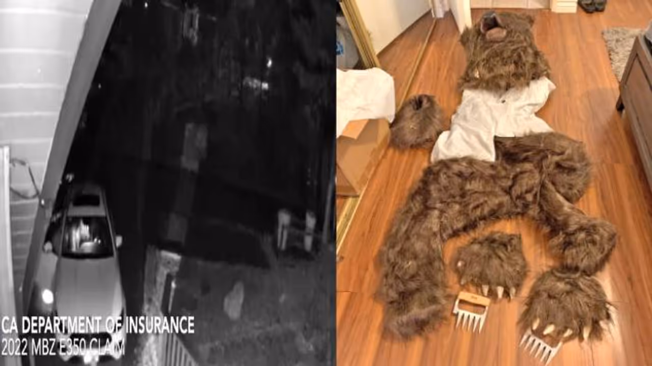 കൂട്ടത്തിലൊരാൾ കരടിയായി, നാല് കൂട്ടുകാരും ചേര്‍ന്ന് പ്ലാന്‍ ചെയ്തു, പക്ഷേ പൊളിഞ്ഞു, ഒടുവില്‍ അറസ്റ്റ്