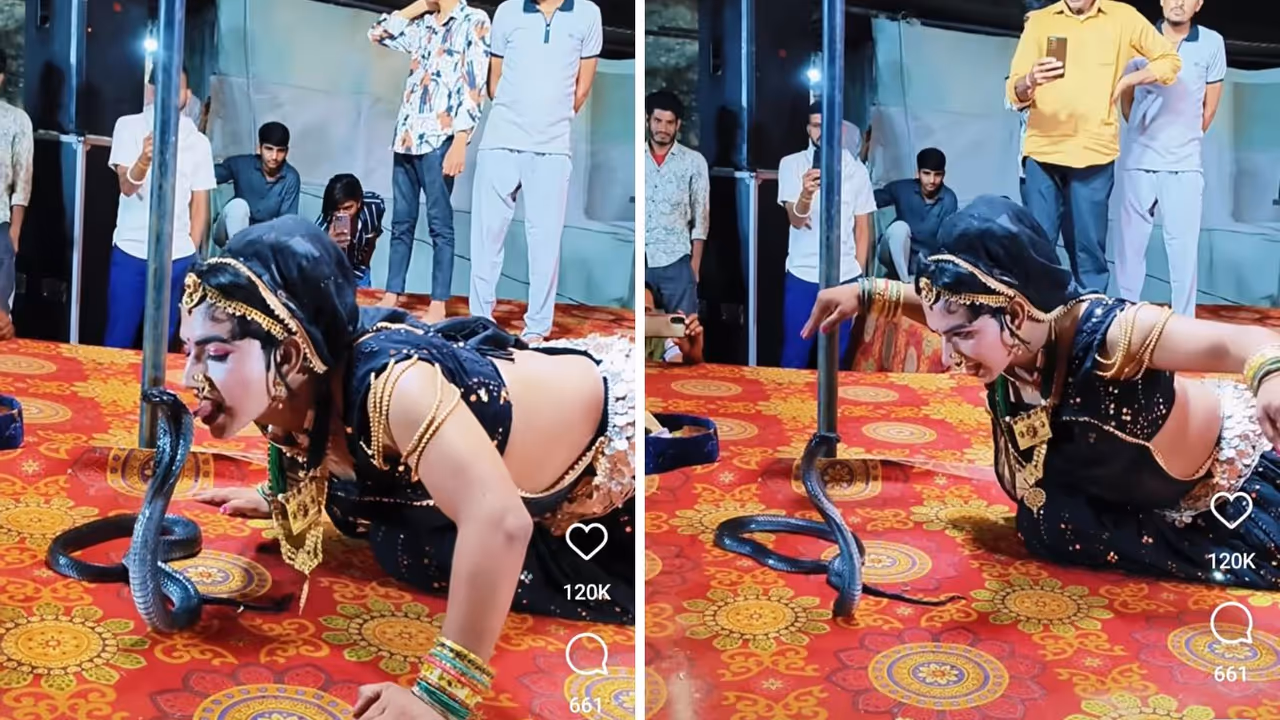 ಹಾವಿನ ಜೊತೆ ಡಾನ್ಸರ್ ಸರಸ, ಹುಚ್ಚಾಟಕ್ಕೆ ನೆಟ್ಟಿಗರು ಗರಂ ಹಾವಿನ ಜೊತೆ ಡಾನ್ಸರ್ ಸರಸ, ಹುಚ್ಚಾಟಕ್ಕೆ ನೆಟ್ಟಿಗರು ಗರಂ