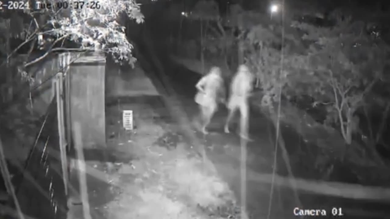 പിന്നിൽ കുറുവ സംഘം? ആലപ്പുഴക്കാരുടെ സ്വൈര്യ ജീവിതം തകർത്ത് മോഷണ സംഘം, തുനിഞ്ഞിറങ്ങി പൊലീസ് പിന്നിൽ കുറുവ സംഘം? ആലപ്പുഴക്കാരുടെ സ്വൈര്യ ജീവിതം തകർത്ത് മോഷണ സംഘം, തുനിഞ്ഞിറങ്ങി പൊലീസ്