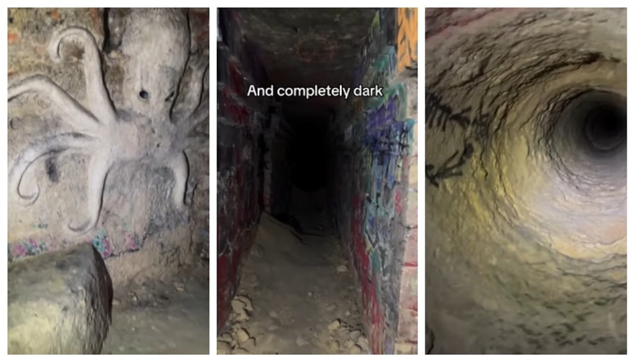 ആറ് ദശലക്ഷത്തിലധികം മനുഷ്യരുടെ അസ്ഥികൂടങ്ങള്‍ സൂക്ഷിച്ചിരിക്കുന്ന പാരീസിലെ കാറ്റകോംബ്സ്; വീഡിയോ വൈറൽ