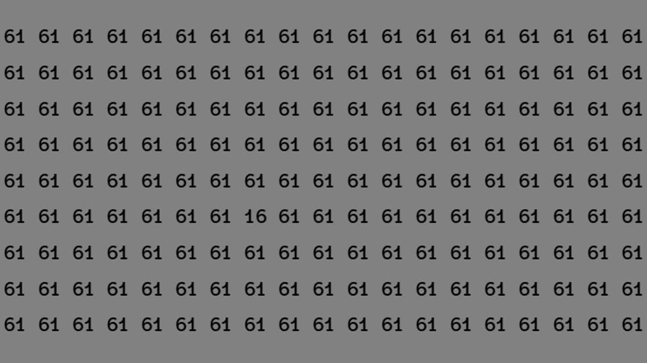 Optical Illusion Game Challenge 16 November 2024 Optical Illusion Game Challenge 16 November 2024