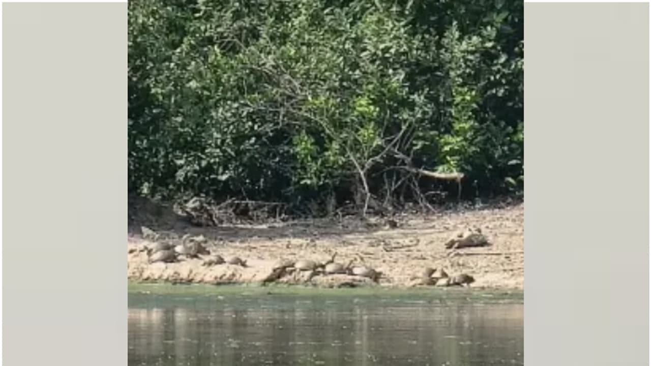 വന്ന ബോട്ട് മറുകരയിലെത്തി, തിരിച്ചു വരാൻ മാർഗമില്ല, പരിശോധനയ്ക്ക് പോയ റവന്യൂ ഉദ്യോഗസ്ഥർ തുരുത്തിൽ കുടുങ്ങി വന്ന ബോട്ട് മറുകരയിലെത്തി, തിരിച്ചു വരാൻ മാർഗമില്ല, പരിശോധനയ്ക്ക് പോയ റവന്യൂ ഉദ്യോഗസ്ഥർ തുരുത്തിൽ കുടുങ്ങി