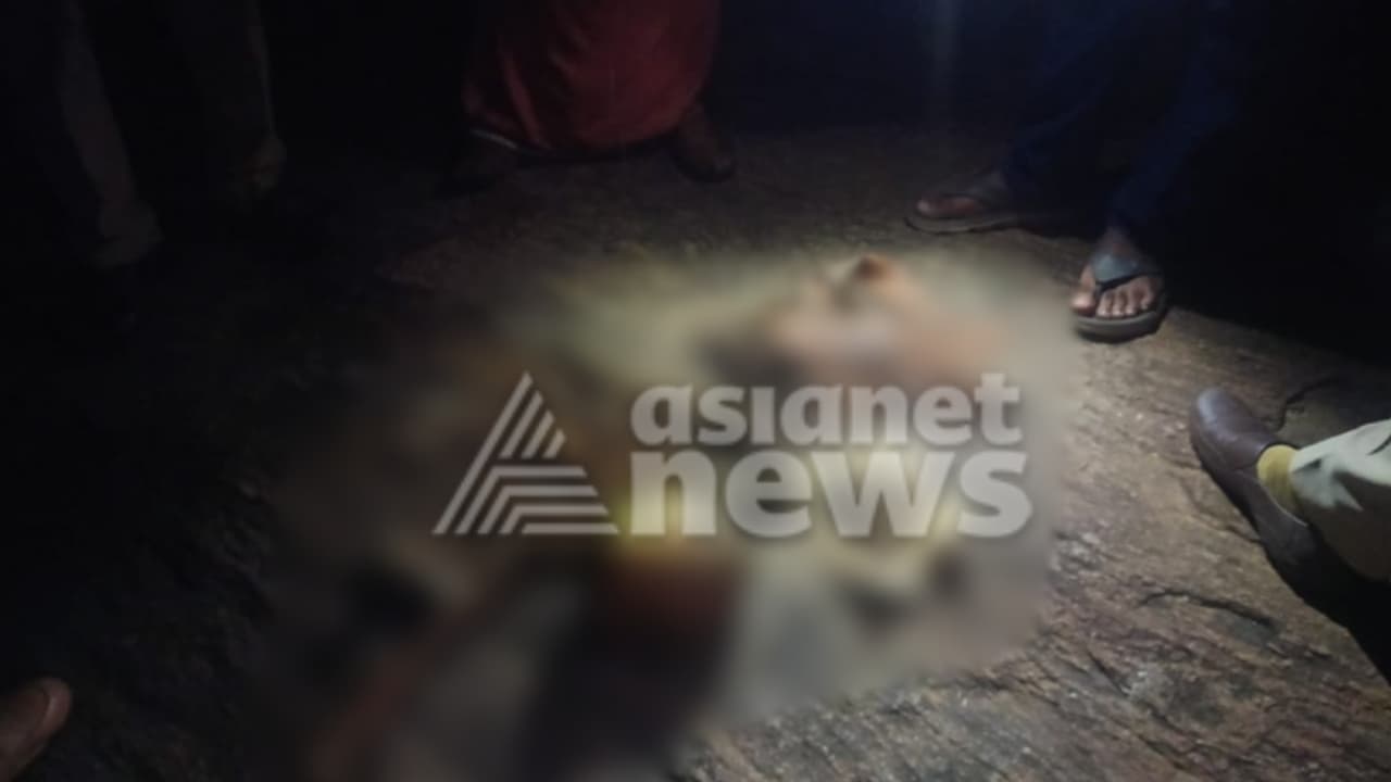 ആദ്യം കണ്ടത് ചൂണ്ടയിടാൻ പോയവർ; ചാലിയാറിൻ്റെ തീരത്ത് തലയോട്ടിയും അസ്ഥികളും; ചൂരൽമല ദുരന്തത്തിൽ കാണാതായ ആളുടേത്? ആദ്യം കണ്ടത് ചൂണ്ടയിടാൻ പോയവർ; ചാലിയാറിൻ്റെ തീരത്ത് തലയോട്ടിയും അസ്ഥികളും; ചൂരൽമല ദുരന്തത്തിൽ കാണാതായ ആളുടേത്?