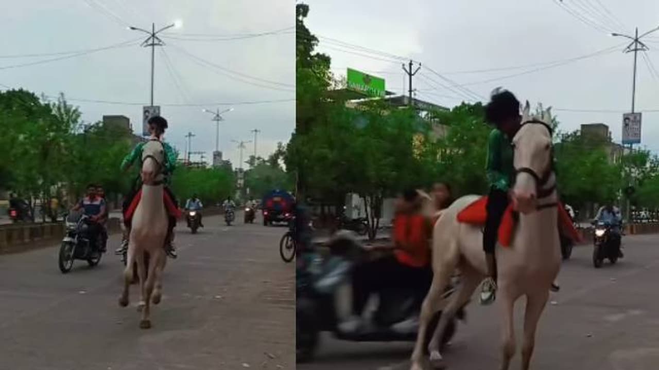 അമ്പരപ്പിക്കുന്ന ദൃശ്യങ്ങൾ; സ്കൂട്ടിയിൽ പെൺകുട്ടികൾ, കുതിരയുമായി യുവാവ്, ചവിട്ടി താഴെയിട്ടു, വിമർശനം