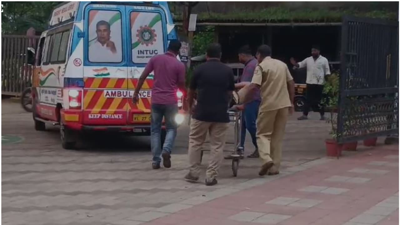 കാട്ടാന ആക്രമണം; പരാതിയിൽ തിരയാനെത്തി ഫോറസ്റ്റ് ഓഫീസർ, മുളങ്കാട്ടിൽ മറഞ്ഞിരുന്ന ആനയുടെ ആക്രമണത്തിൽ പരിക്ക്