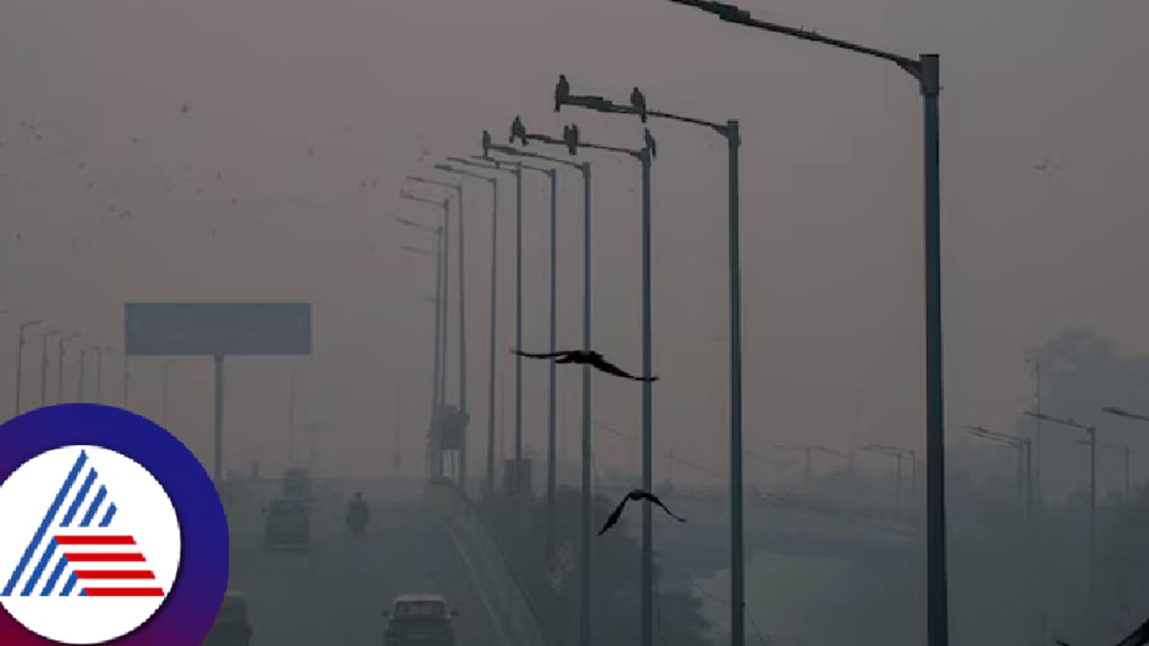 Delhi air pollution crisis: ದೆಹಲಿಯಲ್ಲಿ 1 ದಿನ ವಾಸಿಸಿದರೆ 49 ಸಿಗರೇಟ್ ಸೇದಿದ್ದಕ್ಕೆ ಸಮ!