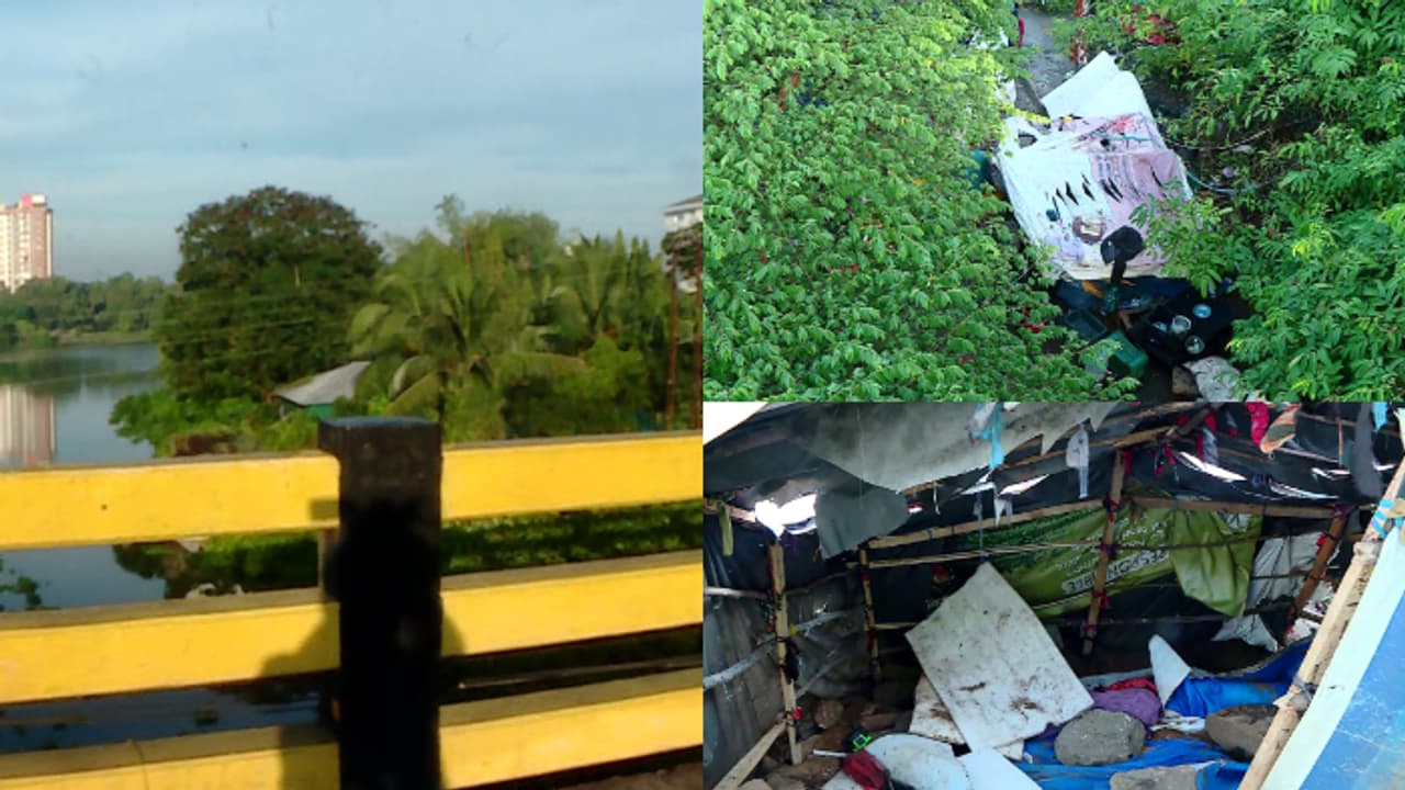 കുറുവാ ഭീതി; കുണ്ടന്നൂർ പാലത്തിനടിയിലെ കുട്ടവഞ്ചിക്കാരെ ഒഴിപ്പിക്കുന്നു, നടപടി ആരോഗ്യവിഭാഗത്തിൻ്റേത്