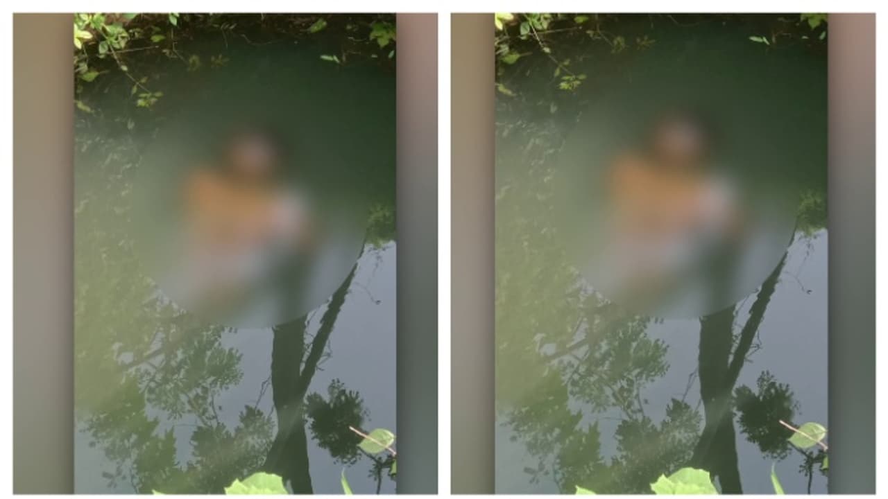 2 ദിവസം മുൻപ് ചികിത്സയിലിരിക്കേ ആശുപത്രിയിൽ നിന്ന് കാണാതായി; മലപ്പുറത്ത് യുവാവ് കിണറ്റിൽ മരിച്ച നിലയിൽ 2 ദിവസം മുൻപ് ചികിത്സയിലിരിക്കേ ആശുപത്രിയിൽ നിന്ന് കാണാതായി; മലപ്പുറത്ത് യുവാവ് കിണറ്റിൽ മരിച്ച നിലയിൽ