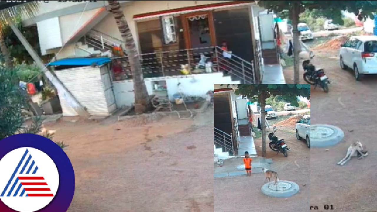 ಆಟವಾಡಲು ಬಂದ ಮಗುವಿನ ಮೇಲೆ ಬೀದಿ ನಾಯಿ ಡೆಡ್ಲಿ ಅಟ್ಯಾಕ್! ವಿಲವಿಲ ಒದ್ದಾಡಿದ ಮಗು! ಆಟವಾಡಲು ಬಂದ ಮಗುವಿನ ಮೇಲೆ ಬೀದಿ ನಾಯಿ ಡೆಡ್ಲಿ ಅಟ್ಯಾಕ್! ವಿಲವಿಲ ಒದ್ದಾಡಿದ ಮಗು!