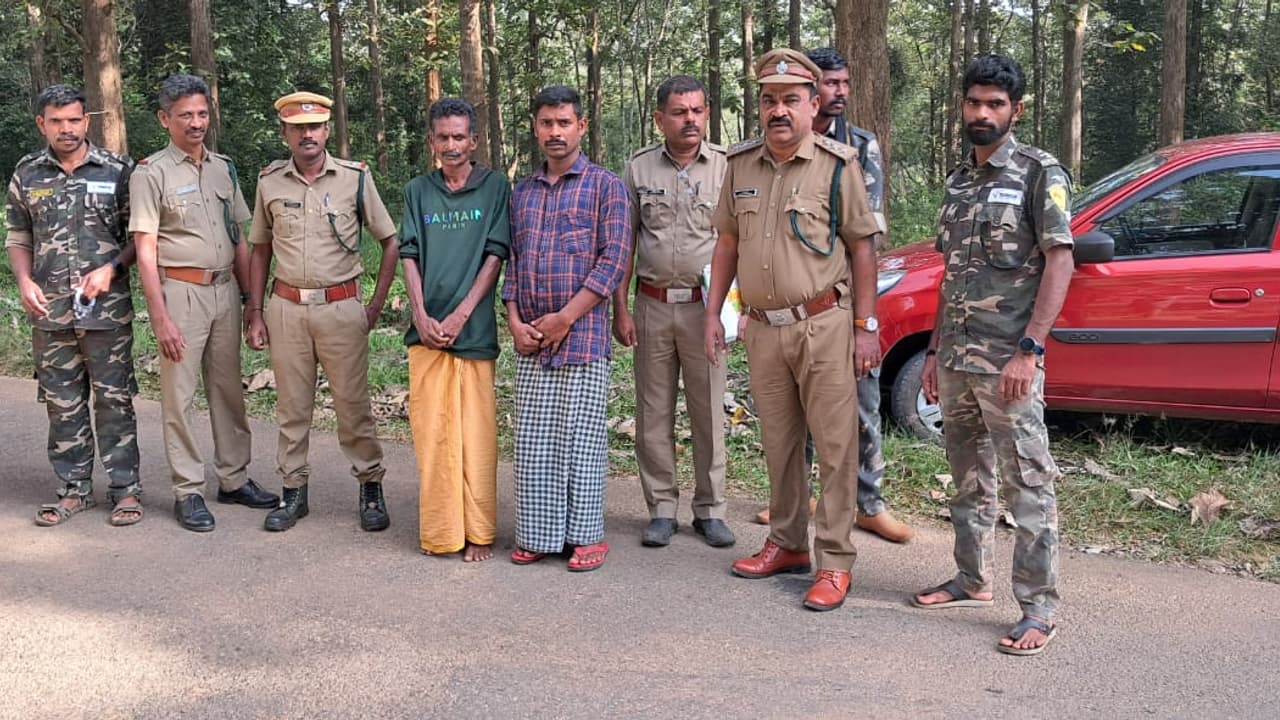 പറമ്പിക്കുളം കടുവാസങ്കേതത്തിൽ ചന്ദനം മുറിച്ച് കടത്താൻ ശ്രമിച്ച കേസിൽ രണ്ട് പേര് കൂടി പിടിയിൽ പറമ്പിക്കുളം കടുവാസങ്കേതത്തിൽ ചന്ദനം മുറിച്ച് കടത്താൻ ശ്രമിച്ച കേസിൽ രണ്ട് പേര് കൂടി പിടിയിൽ