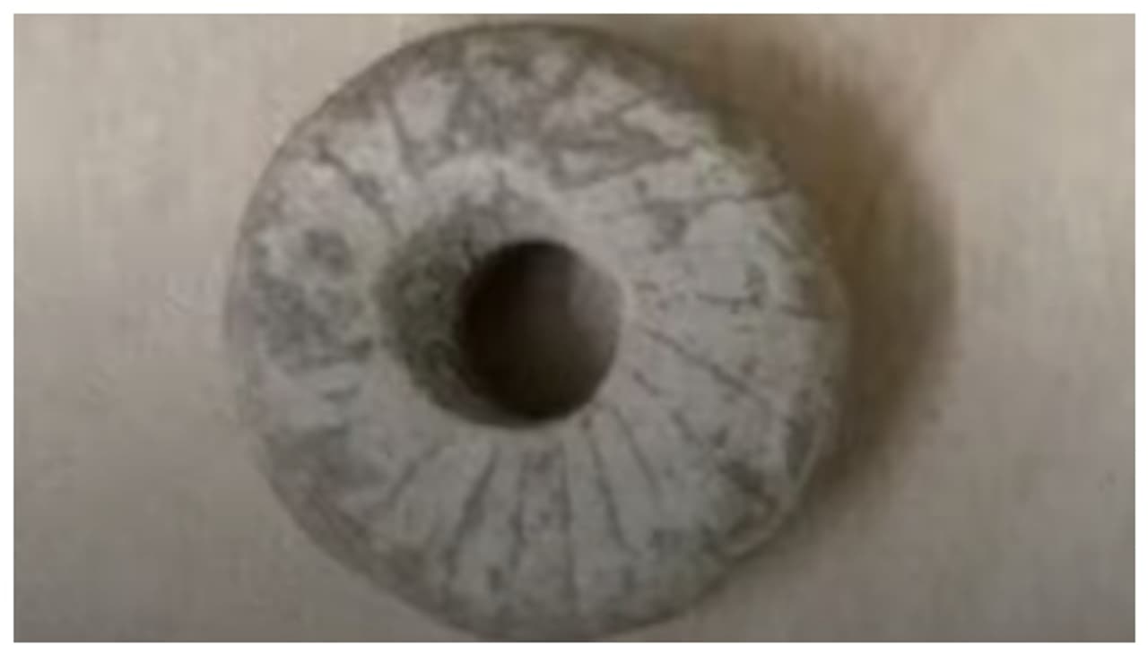 12,000 വർഷം മുമ്പ് ചക്രങ്ങള്‍? ഇസ്രയേലില്‍ നിന്നുള്ള കണ്ടെത്തല്‍ മനുഷ്യ ചരിത്രം തിരുത്തി കുറിക്കുമോ? 