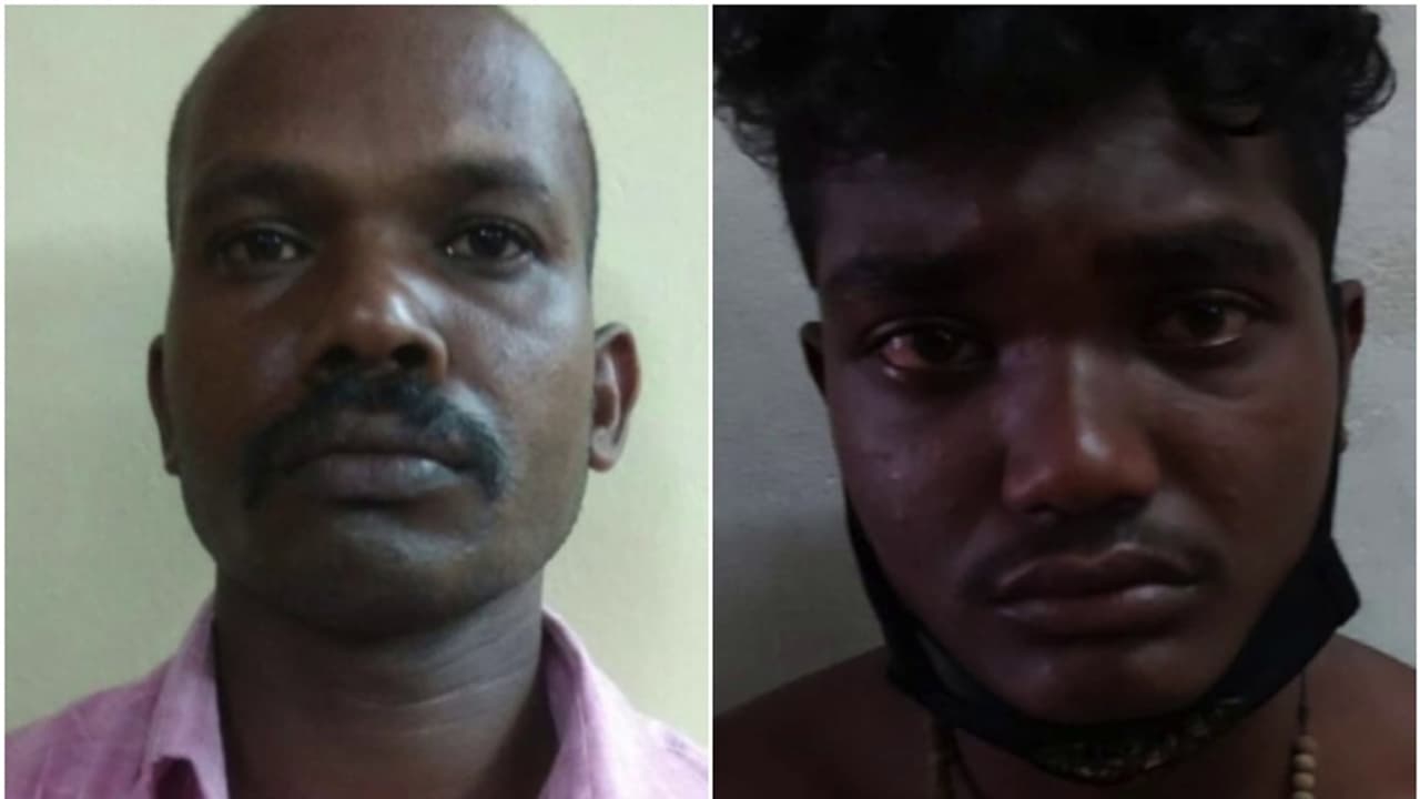 അച്ഛനും മകനും ചേർന്ന് മോഷണം; മകൻ പൊലീസ് പിടിയിൽ, മോഷ്ടിച്ചത് മൂന്ന് ലക്ഷം രൂപയുടെ ഏലക്ക