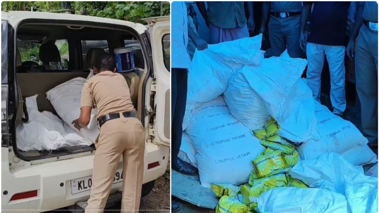 നിർണായക വിവരം, ഓട്ടോറിക്ഷ ഡ്രൈവറുടെ വീട്ടിൽ പരിശോധന, പ്രത്യേക ഗോഡൗൺ, പിടിച്ചത് ലക്ഷങ്ങളുടെ പാൻമസാല ഉൽപന്നങ്ങൾ നിർണായക വിവരം, ഓട്ടോറിക്ഷ ഡ്രൈവറുടെ വീട്ടിൽ പരിശോധന, പ്രത്യേക ഗോഡൗൺ, പിടിച്ചത് ലക്ഷങ്ങളുടെ പാൻമസാല ഉൽപന്നങ്ങൾ