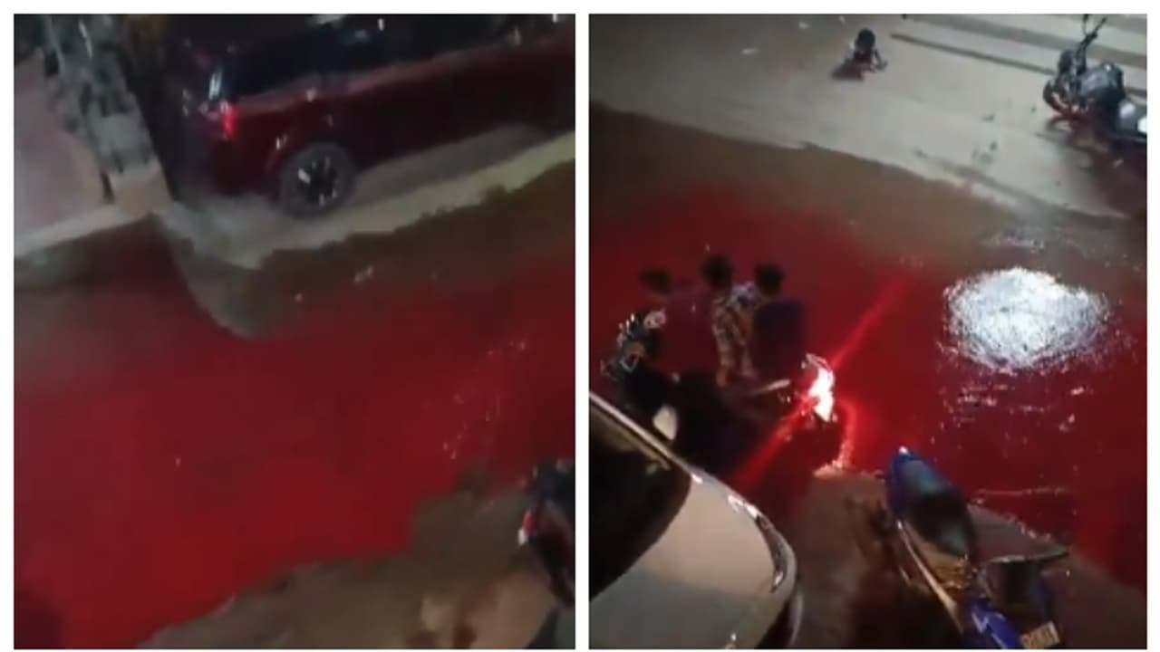 ഹൈദരാബാദിലെ തെരുവുകളില് രാത്രി ഒഴുകിയത് 'രക്തം'? സോഷ്യല് മീഡിയയില് വൈറലായി വീഡിയോ ഹൈദരാബാദിലെ തെരുവുകളില് രാത്രി ഒഴുകിയത് 'രക്തം'? സോഷ്യല് മീഡിയയില് വൈറലായി വീഡിയോ
