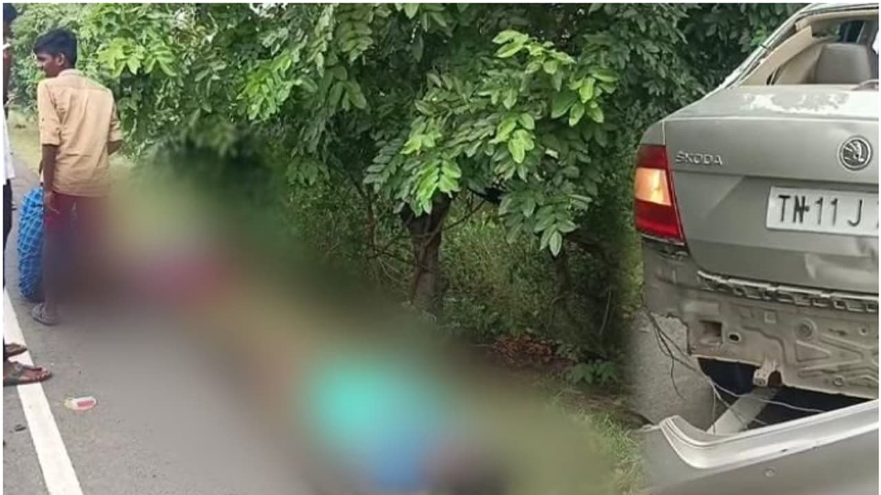 പശുക്കളുമായി റോഡ് മുറിച്ച് കടക്കുന്നതിനിടയിലേക്ക് കാർ പാഞ്ഞുകയറി; 5 സ്ത്രീകൾക്ക് ദാരുണാന്ത്യം, സംഭവം ചെന്നൈയിൽ