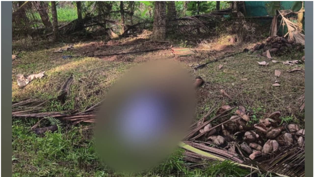 കൈവിരലിൽ ഇലക്ട്രിക് വയർ ചുറ്റിയ നിലയിൽ മൃതദേഹം; തൃശൂർ വിരുപ്പാക്കയിലെ യുവാവിൻ്റെ മരണം ആത്മഹത്യയെന്ന് പൊലീസ് കൈവിരലിൽ ഇലക്ട്രിക് വയർ ചുറ്റിയ നിലയിൽ മൃതദേഹം; തൃശൂർ വിരുപ്പാക്കയിലെ യുവാവിൻ്റെ മരണം ആത്മഹത്യയെന്ന് പൊലീസ്