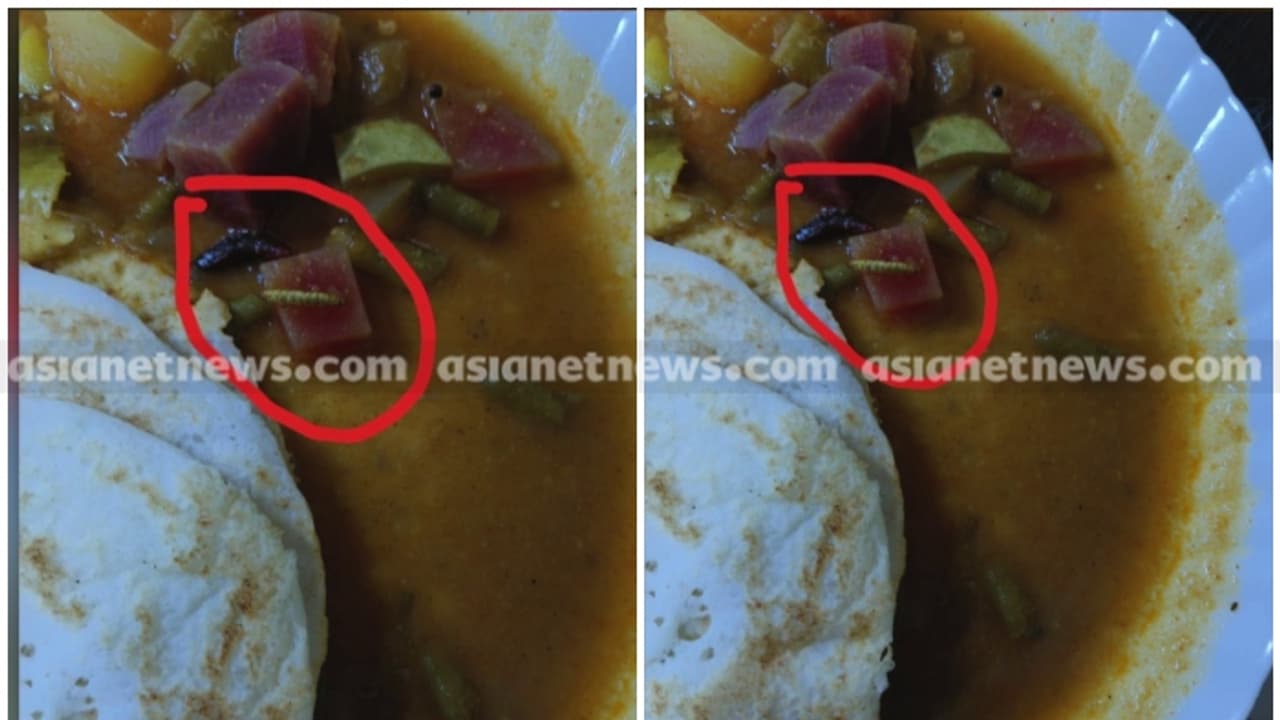 രാവിലെ വിളമ്പിയ സാമ്പാറിൽ പുഴു, കോളേജ് ഹോസ്റ്റൽ ഭക്ഷണം മോശം, പ്രതിഷേധവുമായി വിദ്യാർത്ഥികൾ രാവിലെ വിളമ്പിയ സാമ്പാറിൽ പുഴു, കോളേജ് ഹോസ്റ്റൽ ഭക്ഷണം മോശം, പ്രതിഷേധവുമായി വിദ്യാർത്ഥികൾ