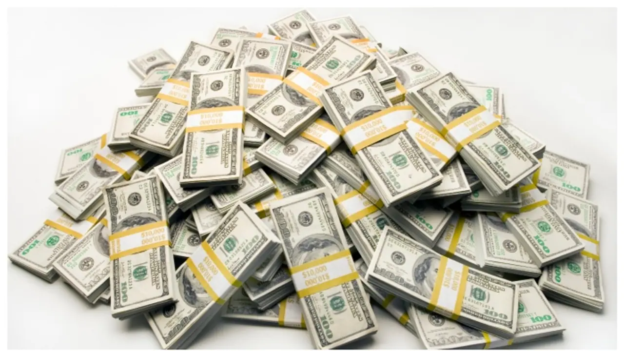 മുൻ കാമുകന്‍റെ 6,000 കോടി രൂപ മാലിന്യ കൂമ്പാരത്തിൽ എറിഞ്ഞ് യുവതി, മാലിന്യ കൂമ്പാരം താപ്പാൻ അനുമതി തേടി യുവാവ്