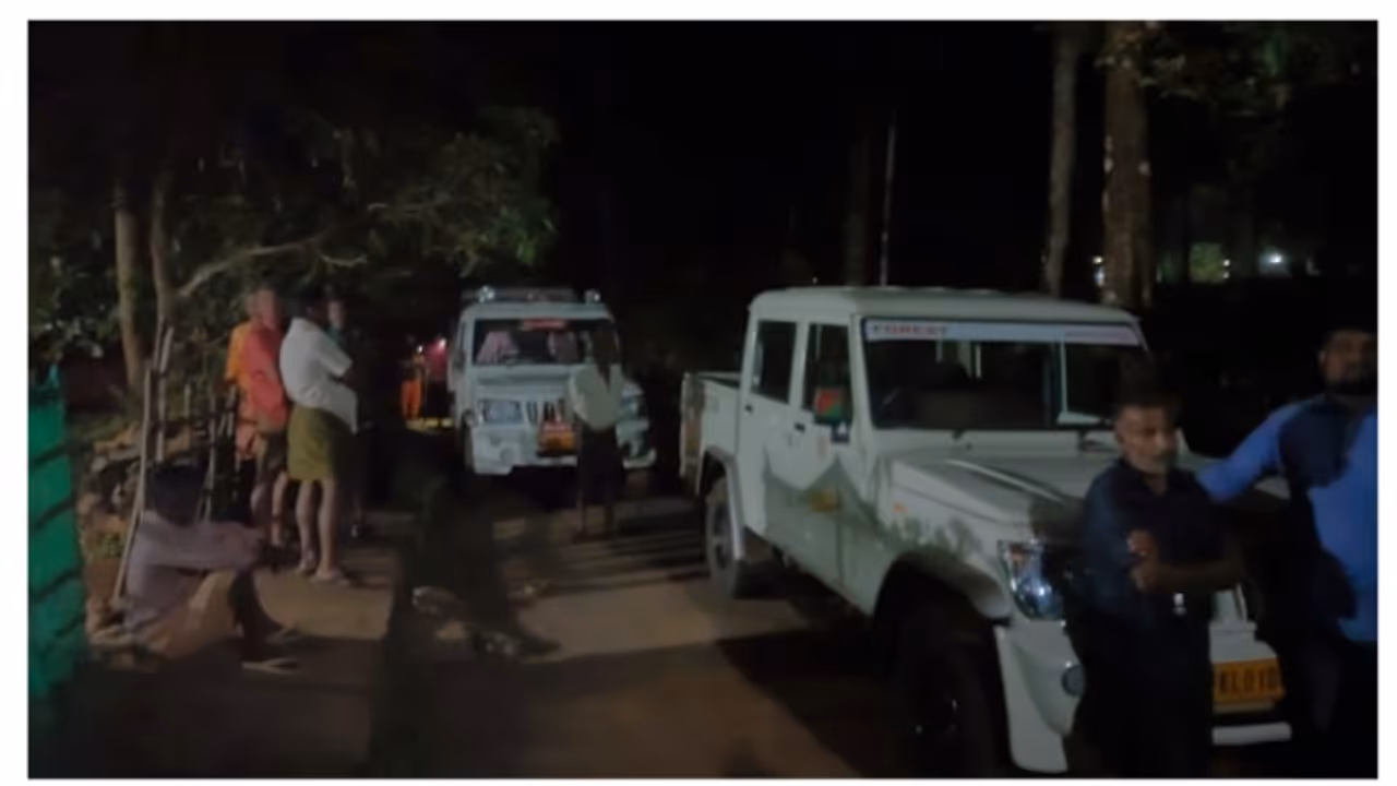 കുട്ടമ്പുഴയിൽ വനത്തിലേക്ക് പോയ പശുക്കളെ തെരഞ്ഞിറങ്ങിയ 3 സ്ത്രീകളെ കാണാതായി