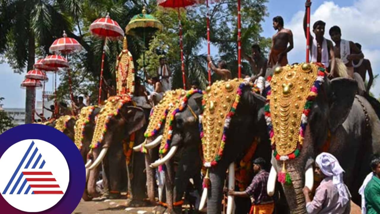 ಹಬ್ಬಕ್ಕೆ ಆನೆ ಇಲ್ಲದಿದ್ದರೆ, ಹಿಂದೂ ಧರ್ಮ ಕುಸಿಯುವಷ್ಟು ದುರ್ಬಲವಾಗಿಲ್ಲ: ಕೇರಳ ಹೈಕೋರ್ಟ್‌