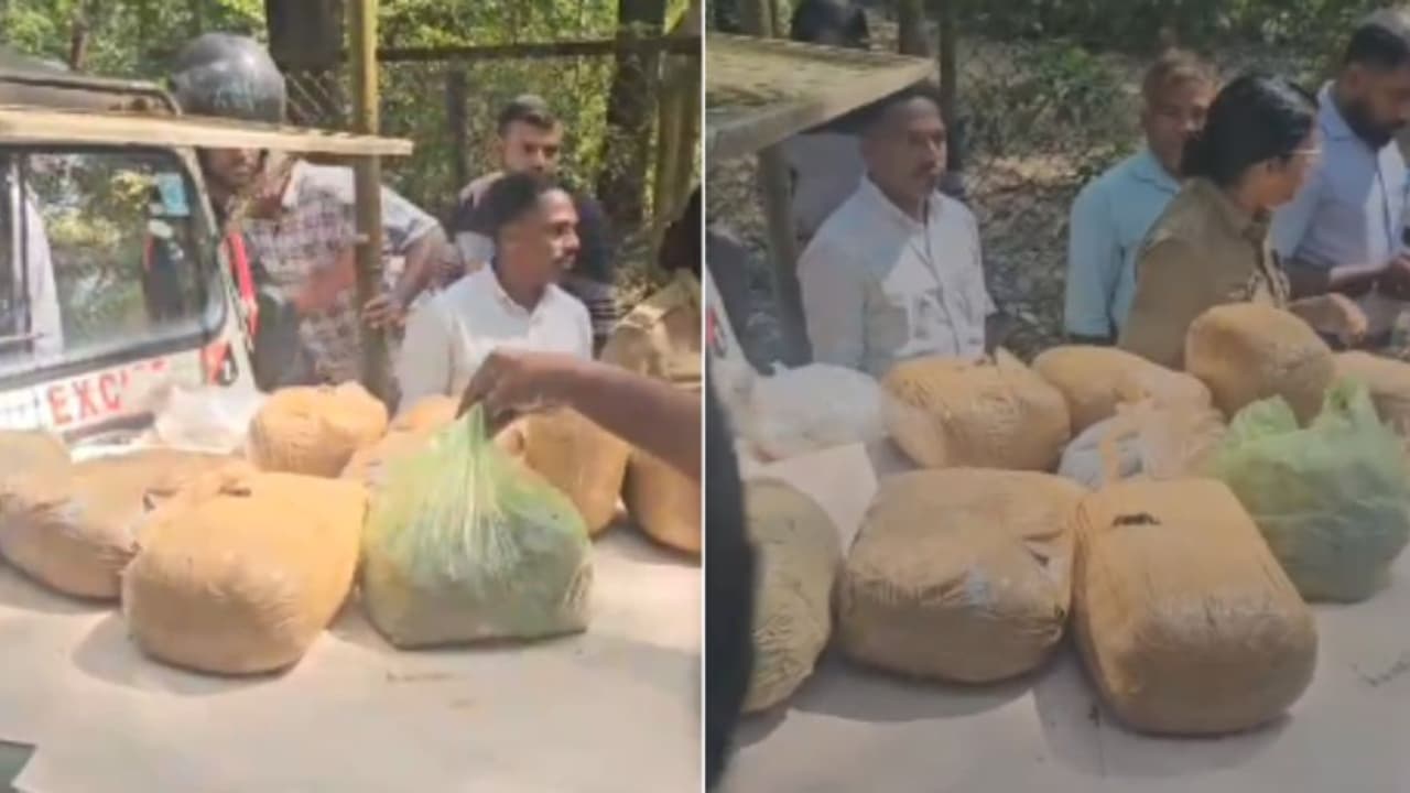 രഹസ്യ വിവരം, രണ്ടിടങ്ങളിലായി പരിശോധന; പിടികൂടിയത് 35.8 കിലോഗ്രാം കഞ്ചാവ്, ബംഗാൾ സ്വദേശികൾ പിടിയിൽ