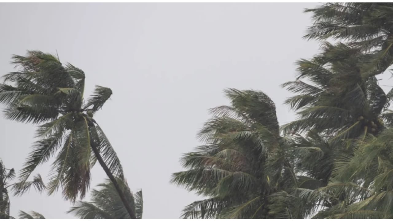 ഫിൻജാൽ ചുഴലിക്കാറ്റ്; 13 വിമാനങ്ങൾ റദ്ദാക്കി, ചെന്നൈ അടക്കം 6 ജില്ലകളിലെ സ്കൂളുകൾക്ക് നാളെ അവധി ഫിൻജാൽ ചുഴലിക്കാറ്റ്; 13 വിമാനങ്ങൾ റദ്ദാക്കി, ചെന്നൈ അടക്കം 6 ജില്ലകളിലെ സ്കൂളുകൾക്ക് നാളെ അവധി