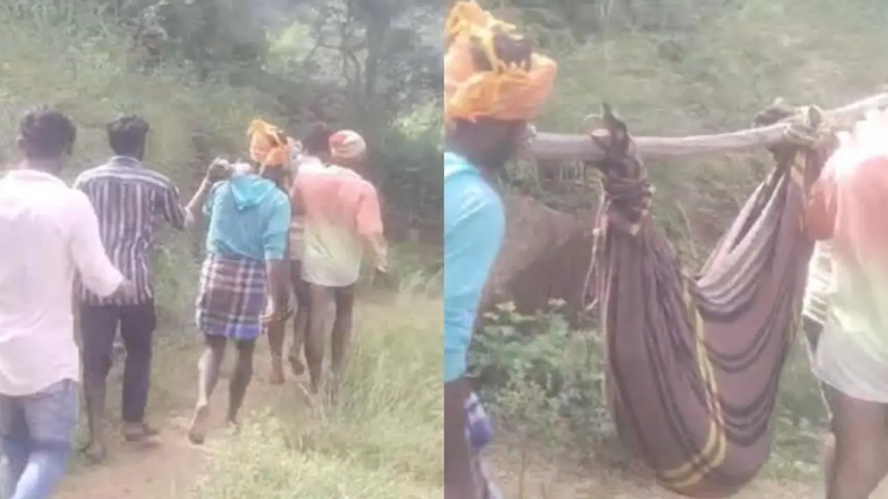 റോഡില്ല, പാമ്പുകടിയേറ്റ 13 കാരിയെ കമ്പിൽ കെട്ടി ചുമന്നത് 8 കിലോമീറ്റർ; ആശുപത്രിയിലെത്തും മുമ്പ് ദാരുണാന്ത്യം