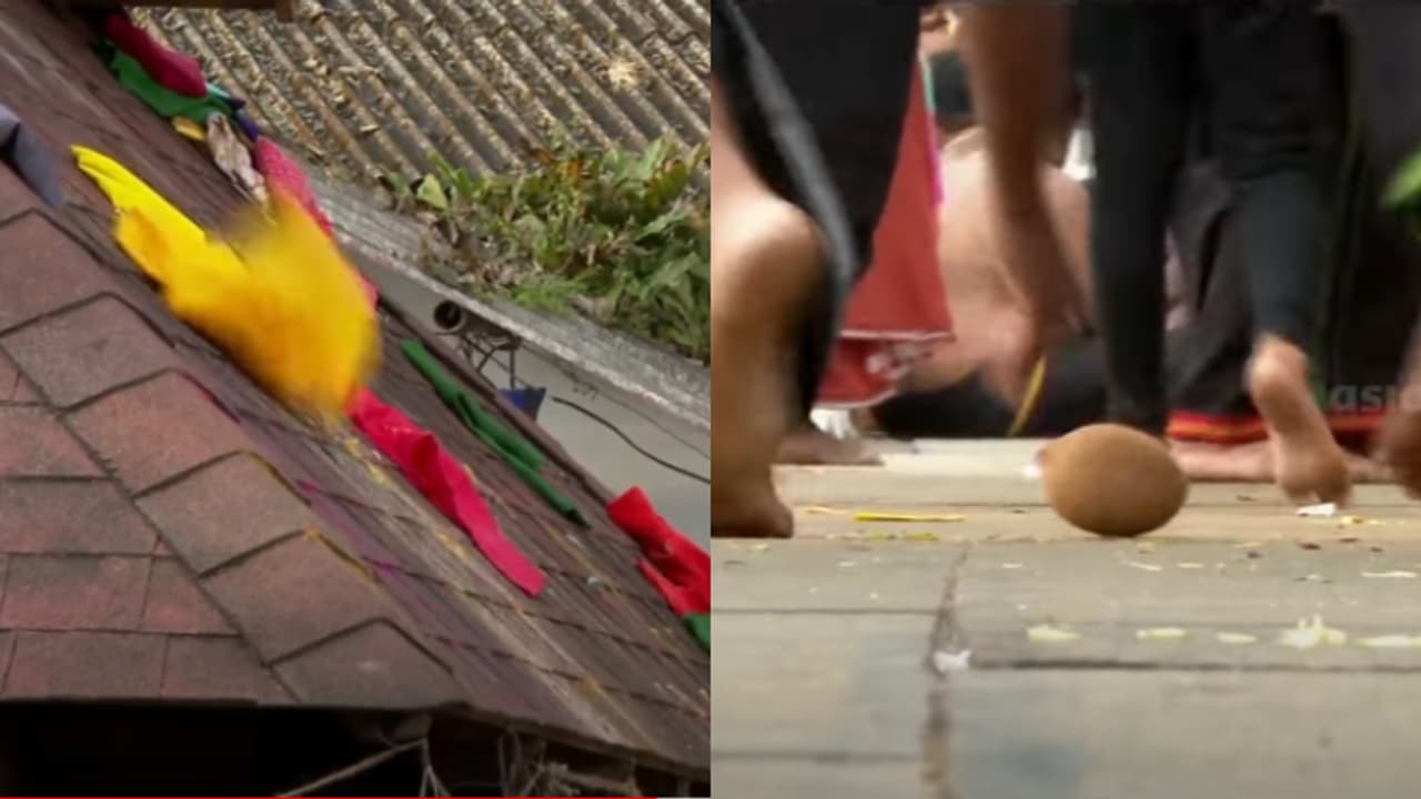 മാളികപ്പുറത്തെ തേങ്ങ ഉരുട്ടലും മഞ്ഞൾപ്പൊടി വിതറലും; അനാചാരങ്ങൾ നിരോധിക്കുമെന്ന് ദേവസ്വം ബോർഡ്