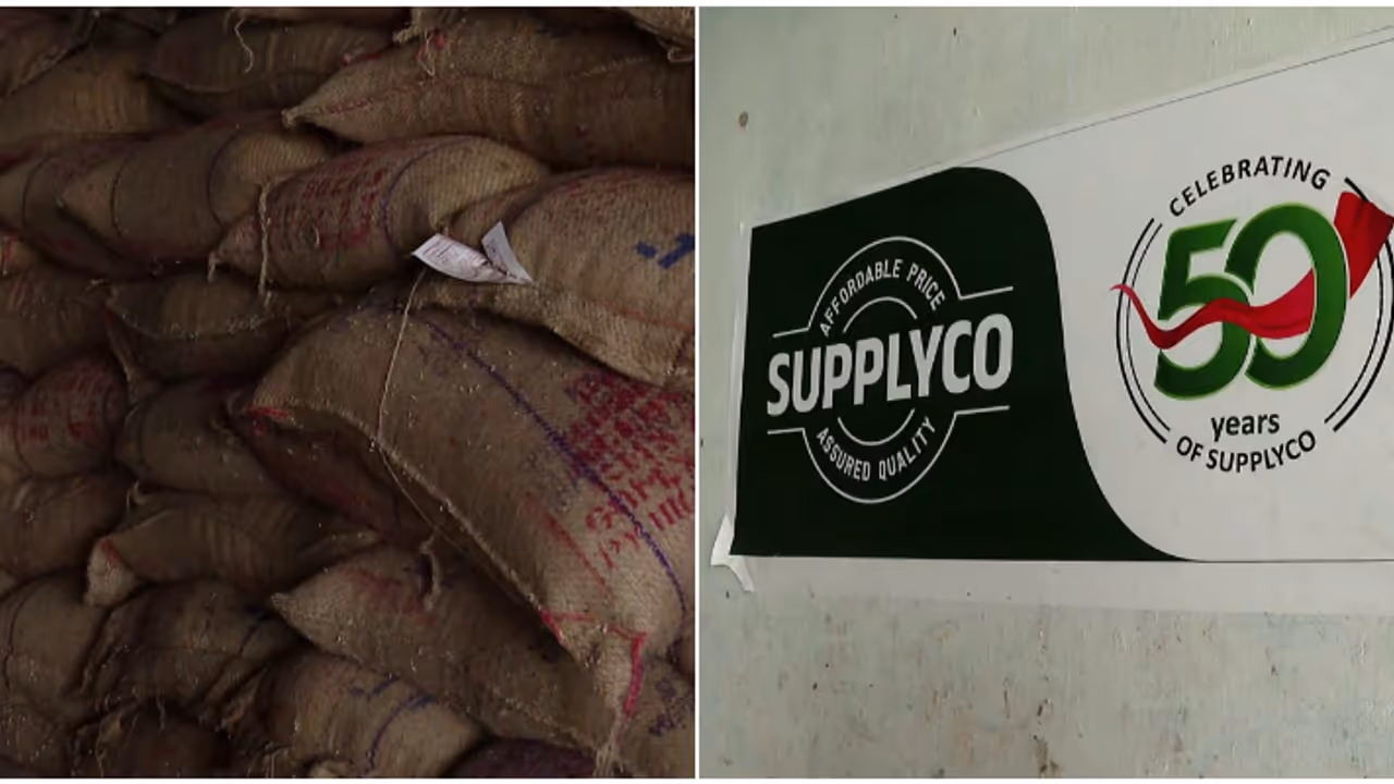 സിവിൽ സപ്ലൈസ് ഗോഡൗണിൽ നിന്ന് 36 ലക്ഷത്തിന്റെ അരിയും ഗോതമ്പും കടത്തിയെന്ന കണ്ടെത്തൽ; 2 ഉദ്യോഗസ്ഥർക്കെതിരെ കേസ് സിവിൽ സപ്ലൈസ് ഗോഡൗണിൽ നിന്ന് 36 ലക്ഷത്തിന്റെ അരിയും ഗോതമ്പും കടത്തിയെന്ന കണ്ടെത്തൽ; 2 ഉദ്യോഗസ്ഥർക്കെതിരെ കേസ്