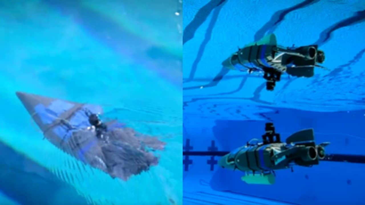 മൊബൈല്‍ ഫോണ്‍ വലിപ്പം; അന്യഗ്രഹ ജീവന്‍ കണ്ടെത്താന്‍ അണ്ടര്‍വാട്ടര്‍ റോബോട്ടുകളുമായി നാസ