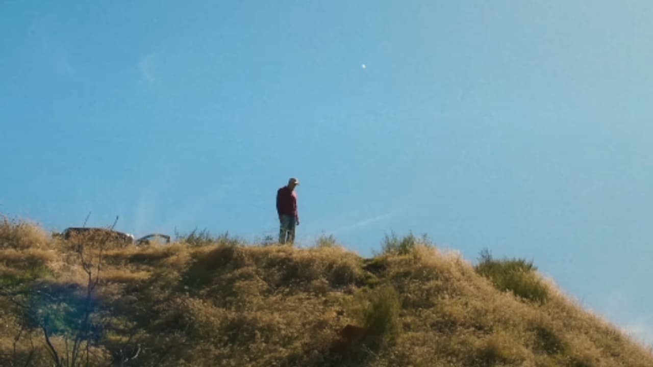 ബജറ്റ് 40 കോടി, ഏഴാം ദിനം നേടിയത് 1 ലക്ഷം! മുതല്മുടക്കിന്റെ 5 ശതമാനം പോലും നേടാതെ ആ ചിത്രം ബജറ്റ് 40 കോടി, ഏഴാം ദിനം നേടിയത് 1 ലക്ഷം! മുതല്മുടക്കിന്റെ 5 ശതമാനം പോലും നേടാതെ ആ ചിത്രം