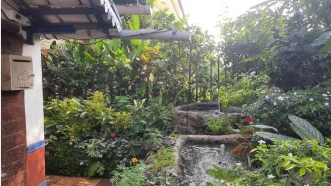 ഈ വീടും ദില്ലിയിൽ തന്നെയാണ്, പക്ഷേ ശുദ്ധവായു സുലഭം, 15,000 ത്തിലധികം ചെടികളുമുണ്ട്