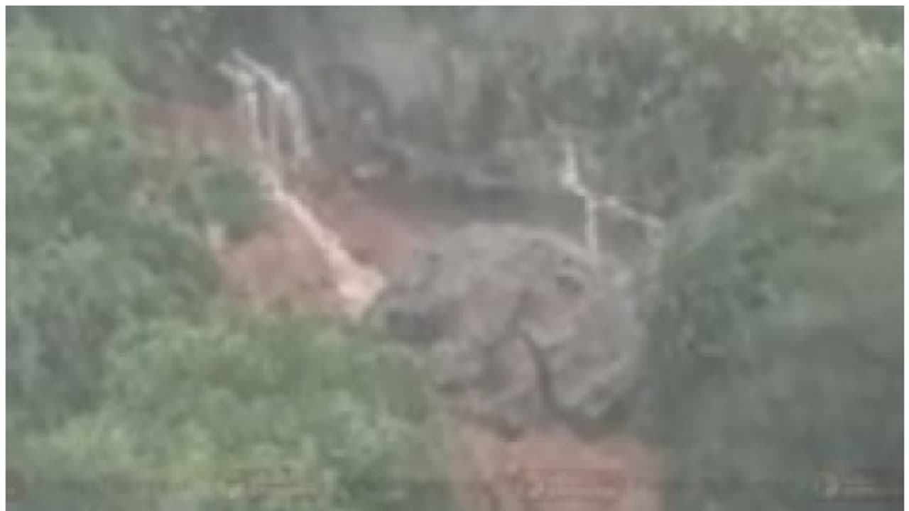 കനത്ത മഴക്ക് പിന്നാലെ തമിഴ്നാട്ടിൽ ഉരുൾപ്പൊട്ടൽ, 3 വീടുകൾ മണ്ണിനടിയിൽ; കുട്ടികൾ അടക്കം 7 പേരെ കാണാതായി കനത്ത മഴക്ക് പിന്നാലെ തമിഴ്നാട്ടിൽ ഉരുൾപ്പൊട്ടൽ, 3 വീടുകൾ മണ്ണിനടിയിൽ; കുട്ടികൾ അടക്കം 7 പേരെ കാണാതായി