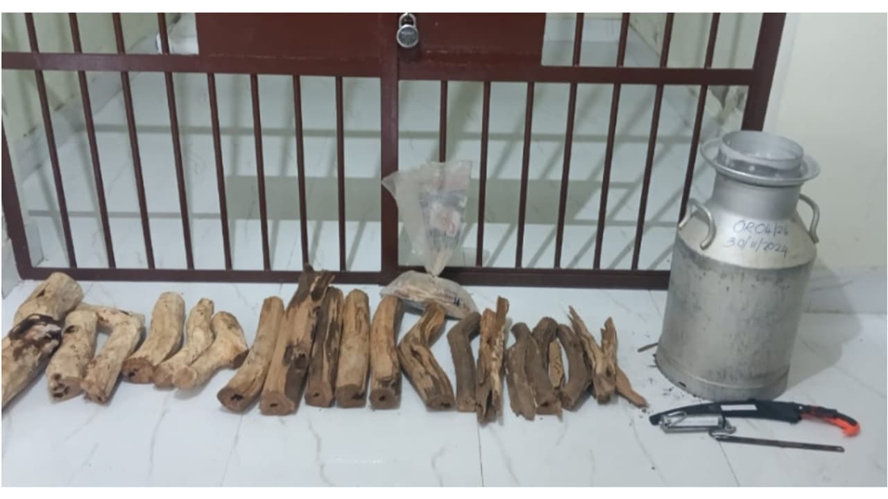 കണ്ടാൽ സാധാരണ പാൽപാത്രം, പക്ഷേ ഉള്ളിൽ ലക്ഷങ്ങളുടെ മുതൽ; ചന്ദനം മുറിച്ച് കക്ഷണങ്ങളാക്കി ഒളിപ്പിച്ചു കണ്ടാൽ സാധാരണ പാൽപാത്രം, പക്ഷേ ഉള്ളിൽ ലക്ഷങ്ങളുടെ മുതൽ; ചന്ദനം മുറിച്ച് കക്ഷണങ്ങളാക്കി ഒളിപ്പിച്ചു