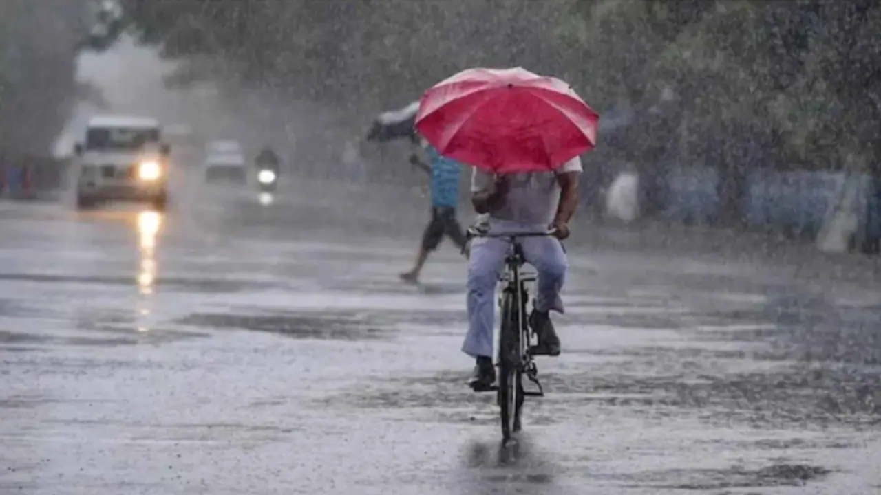 Kerala to experience heavy rainfall in next five days; IMD issues yellow alert in various districts