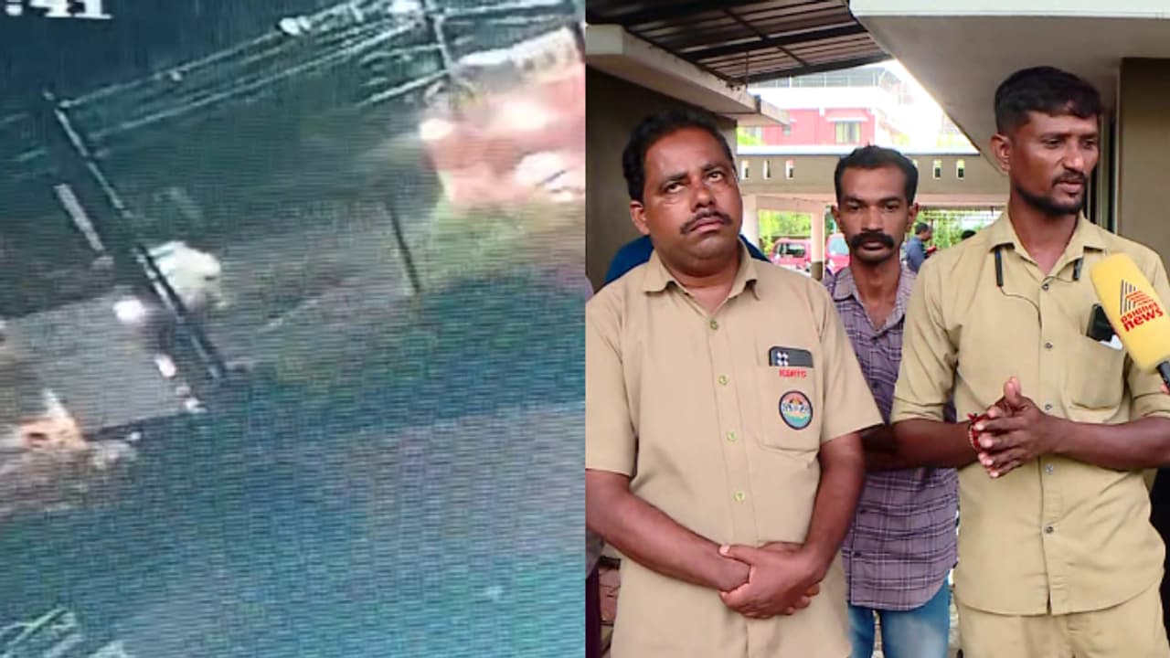 'കാർ മറ്റൊരു വണ്ടിയെ ഓവർടേക്ക് ചെയ്ത് വന്ന് ഇടിക്കുകയായിരുന്നു' ; അപകടത്തിന്റെ ഞെട്ടലിൽ കെഎസ്ആർടിസി ഡ്രൈവർ 'കാർ മറ്റൊരു വണ്ടിയെ ഓവർടേക്ക് ചെയ്ത് വന്ന് ഇടിക്കുകയായിരുന്നു' ; അപകടത്തിന്റെ ഞെട്ടലിൽ കെഎസ്ആർടിസി ഡ്രൈവർ