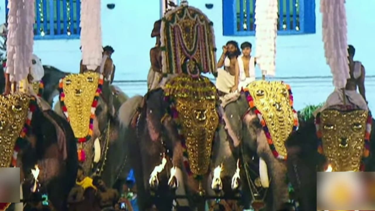 ആന എഴുന്നള്ളിപ്പിൽ തൃപ്പൂണിത്തുറ പൂർണത്രയീശ ക്ഷേത്ര ഭരണസമിതിക്കെതിരെ കേസ്;'ഹൈക്കോടതി മാനദണ്ഡങ്ങൾ പാലിച്ചില്ല' ആന എഴുന്നള്ളിപ്പിൽ തൃപ്പൂണിത്തുറ പൂർണത്രയീശ ക്ഷേത്ര ഭരണസമിതിക്കെതിരെ കേസ്;'ഹൈക്കോടതി മാനദണ്ഡങ്ങൾ പാലിച്ചില്ല'