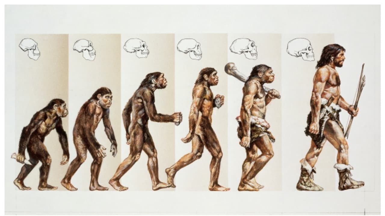 1.5 ദശലക്ഷം വർഷം മുമ്പ് ആദ്യകാല മനുഷ്യവർഗ്ഗങ്ങള്‍ ഒരുമിച്ച് ജീവിച്ചിരുന്നെന്ന് ഗവേഷകര്‍