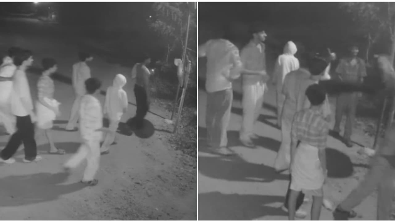 കൂട്ടമായെത്തി, വലിച്ചിളക്കാൻ നോക്കി; അവസാനം ഒരു ചവിട്ട് കൂടെ; പട്ടാമ്പിയിൽ വഴിയോരക്കണ്ണാടി നശിപ്പിച്ച് സംഘം കൂട്ടമായെത്തി, വലിച്ചിളക്കാൻ നോക്കി; അവസാനം ഒരു ചവിട്ട് കൂടെ; പട്ടാമ്പിയിൽ വഴിയോരക്കണ്ണാടി നശിപ്പിച്ച് സംഘം