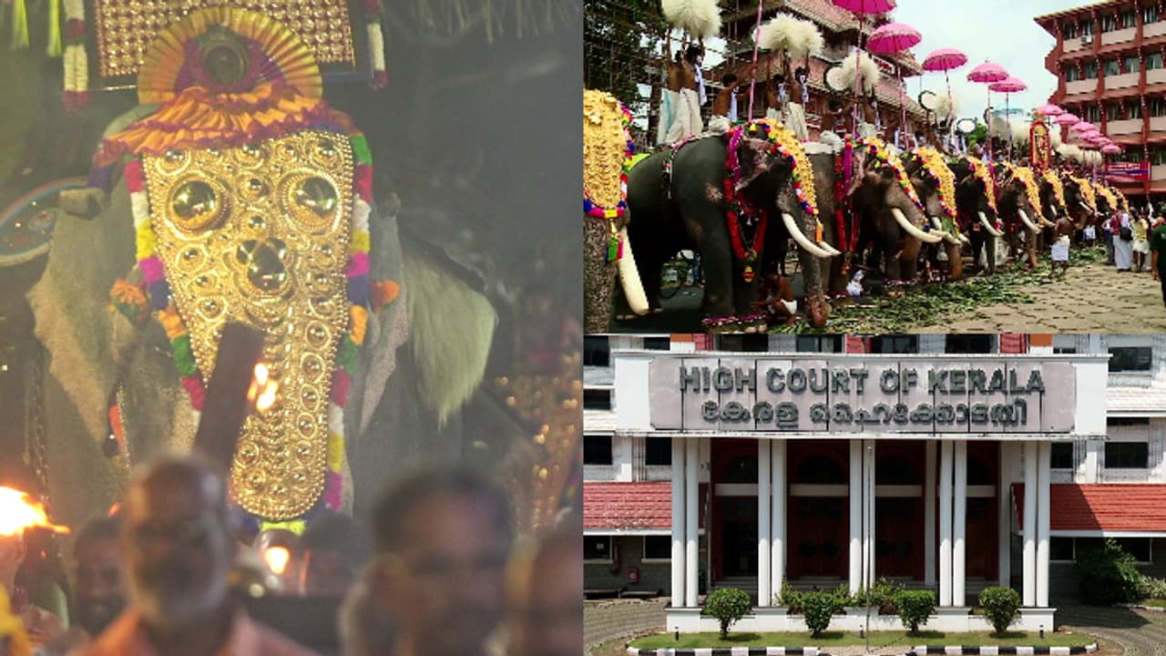 സാമാന്യബുദ്ധിപോലുമില്ലേ? മതത്തിന്റെ പേരിൽ എന്തും ചെയ്യാമെന്ന് കരുതരുത്, ആന എഴുന്നള്ളിപ്പ് കേസില് ഹൈക്കോടതി സാമാന്യബുദ്ധിപോലുമില്ലേ? മതത്തിന്റെ പേരിൽ എന്തും ചെയ്യാമെന്ന് കരുതരുത്, ആന എഴുന്നള്ളിപ്പ് കേസില് ഹൈക്കോടതി