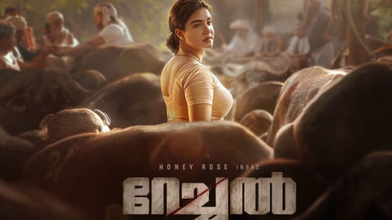 അവൾ വരുന്നു, റേച്ചൽ..; ശക്തമായ കഥാപാത്രമായി ഹണി റോസ്, ചിത്രം തിയറ്ററുകളിലേക്ക് 