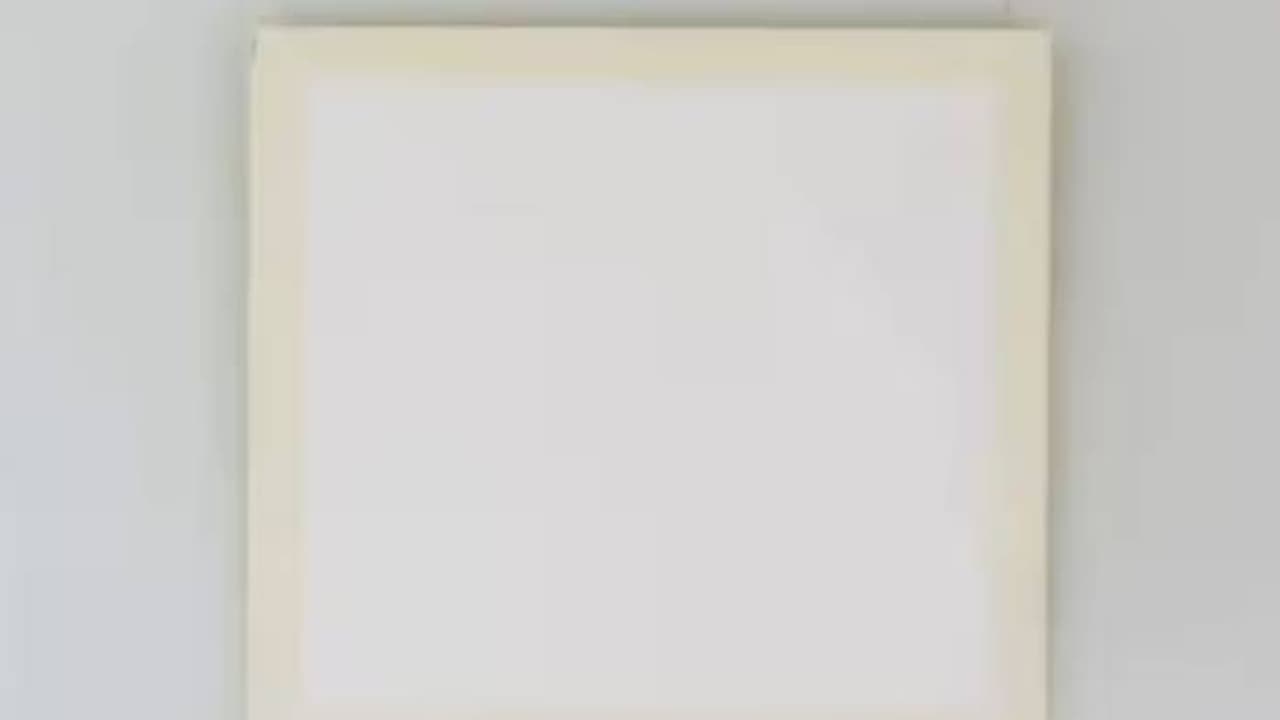 ശൂന്യമായൊരു കാൻവാസ്, വില കേട്ടാൽ അമ്പരക്കും, കോടികളുടെ വാഴപ്പഴത്തിന് ശേഷം വാർത്തയായി കലാസൃഷ്ടി