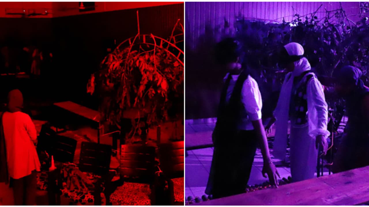 മലപ്പുറം കളക്ട്രേറ്റിൽ ഇതാ ഡാർക്ക് റും, ഇവിടെ എല്ലാം 'അകക്കാഴ്ച'യിൽ തൊട്ടറിയാം! കാഴ്ചപരിമിതരുടെ അനുഭവം അറിയാം മലപ്പുറം കളക്ട്രേറ്റിൽ ഇതാ ഡാർക്ക് റും, ഇവിടെ എല്ലാം 'അകക്കാഴ്ച'യിൽ തൊട്ടറിയാം! കാഴ്ചപരിമിതരുടെ അനുഭവം അറിയാം