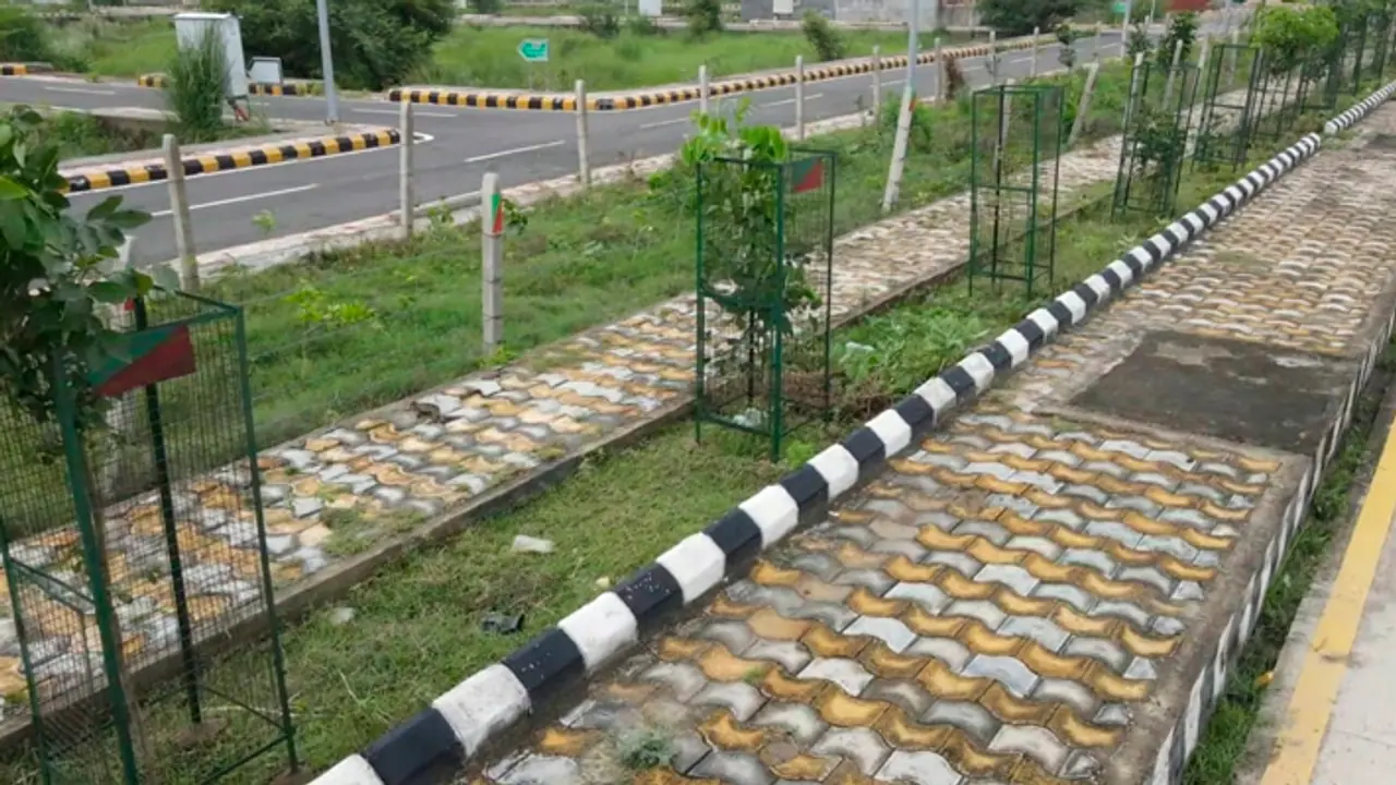 கும்பமேளா 2025: ஆக்சிஜன் வங்கியுடன் பசுமை நகரமாகும் பிரயாக்ராஜ்!