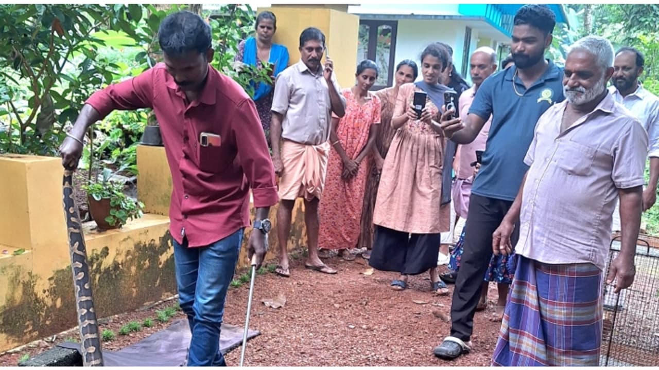 പുലർച്ചെ 5 മണിയ്ക്ക് അസാധാരണമായി വളർത്തുപട്ടിയുടെ കുര, ഇറങ്ങി നോക്കിയ വീട്ടുകാർ ഞെട്ടി; മലമ്പാമ്പിനെ പിടികൂടി പുലർച്ചെ 5 മണിയ്ക്ക് അസാധാരണമായി വളർത്തുപട്ടിയുടെ കുര, ഇറങ്ങി നോക്കിയ വീട്ടുകാർ ഞെട്ടി; മലമ്പാമ്പിനെ പിടികൂടി