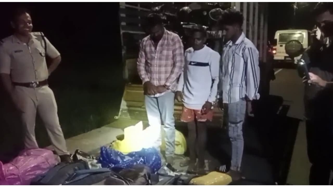 ചരക്ക് വാഹനത്തിൽ ടേപ്പ് ചുറ്റിയ 42 പൊതികൾ, തുറന്നപ്പോൾ 80 കിലോ കഞ്ചാവ്; ഒഡീഷയിൽ നിന്ന് എത്തിച്ചതെന്ന് സൂചന