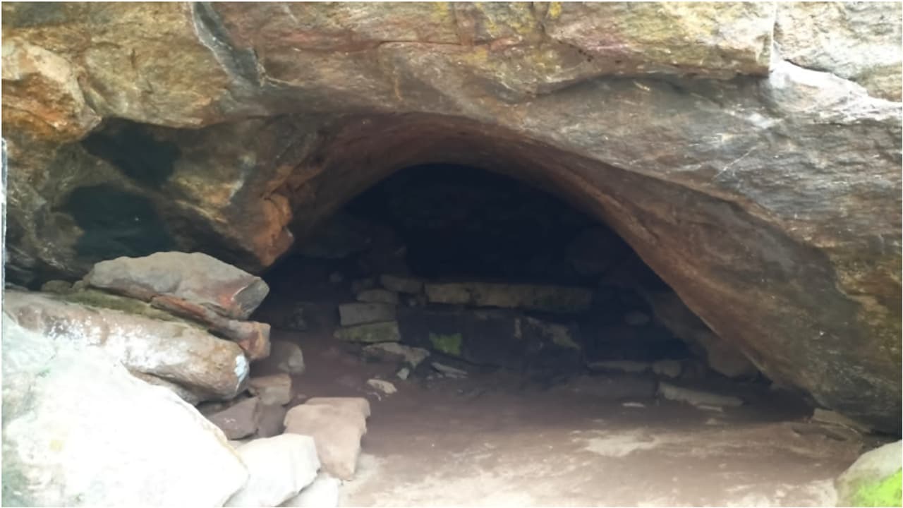 'ഓരോ പ്രാവശ്യവും ഗുഹ നൂഴുമ്പോഴും ഓരോ ജന്മത്തെ പാപം നശിക്കുന്നു'; പുനർജനി നൂഴൽ ബുധനാഴ്ച 