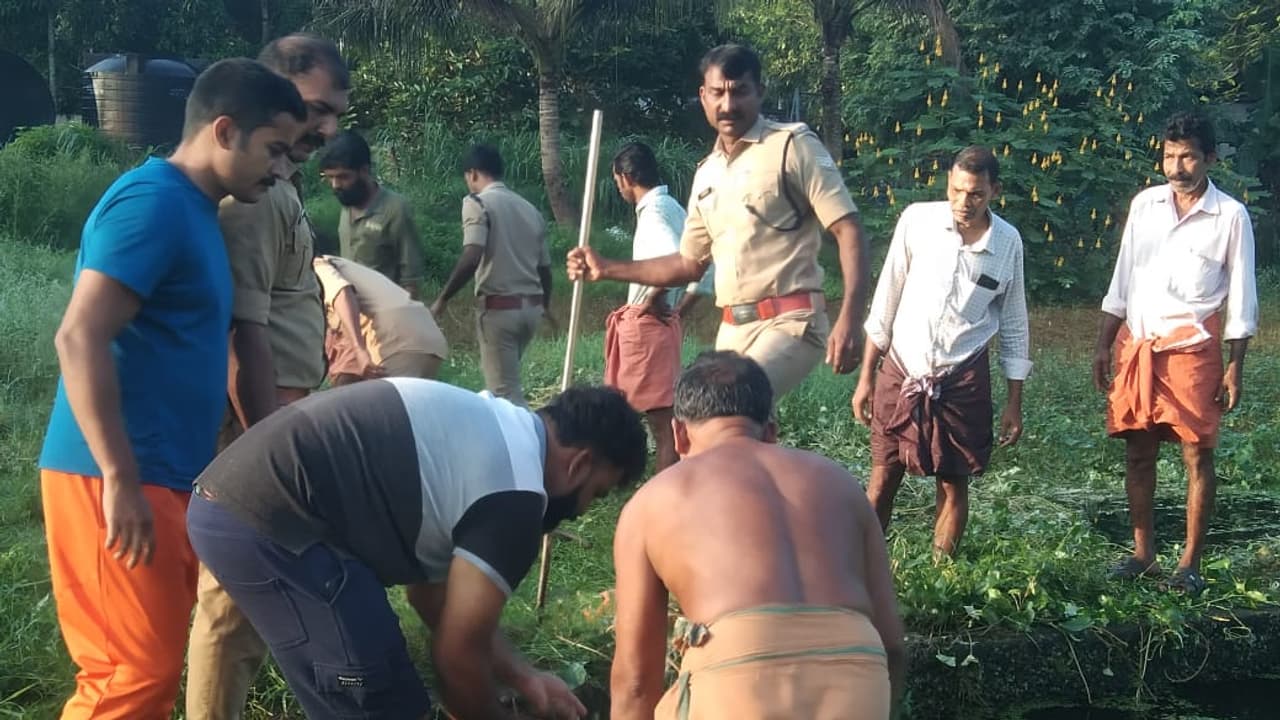രാത്രി 9 മണിയോടെ പശു കുളത്തിൽ ചാടി; വൻ സന്നാഹത്തിൽ രക്ഷ, പുലര്‍ച്ചെ വീണ്ടും ചാടി; വീണ്ടും രക്ഷകരായി ഫയര്‍ഫോഴ്സ