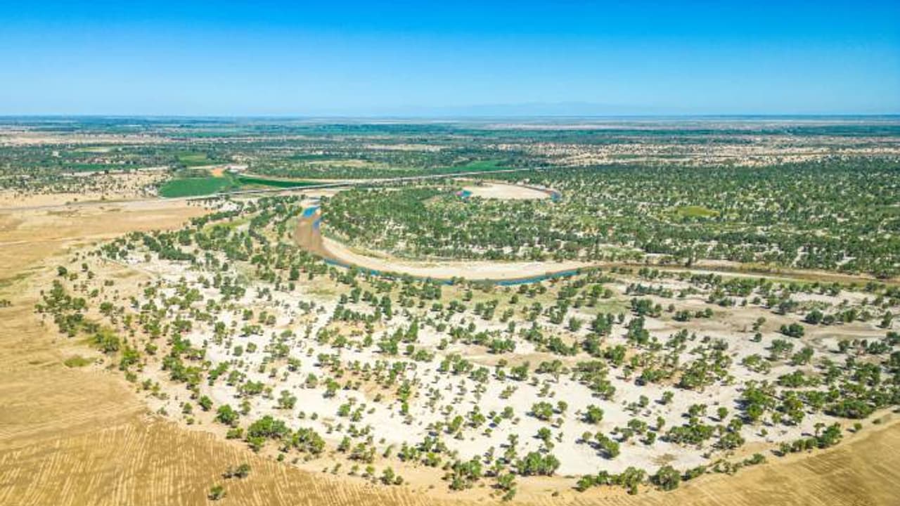 ലോകത്തെ ഞെട്ടിച്ച് ചൈനയുടെ അത്ഭുതം 'ദ ഗ്രേറ്റ് ഗ്രീൻ വാൾ', മരങ്ങൾ നട്ടുപിടിപ്പിച്ചത് 3000 കിലോമീറ്റർ